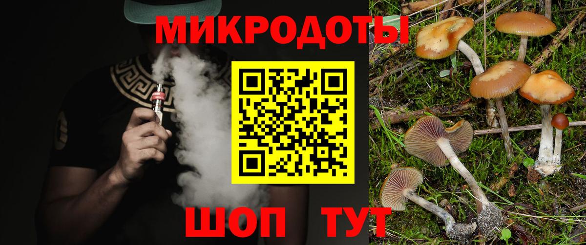 хочу   Вход с VPN  Белорецк  Галлюциногенные грибы Psilocybe  Псилоцибиновые грибы Magic Shrooms 